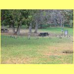 IMG_1392k.html