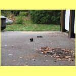 IMG_1467k.html